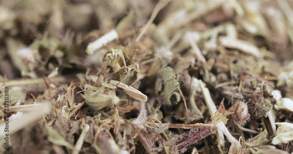 Motherwort grass in bulk Motherwort grass in bulk