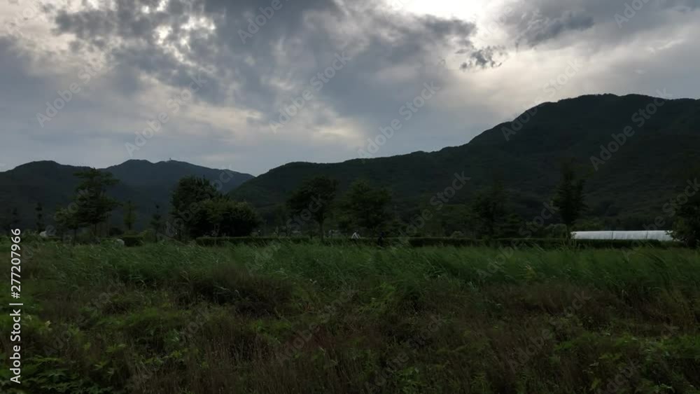 peaceful park before rain storm