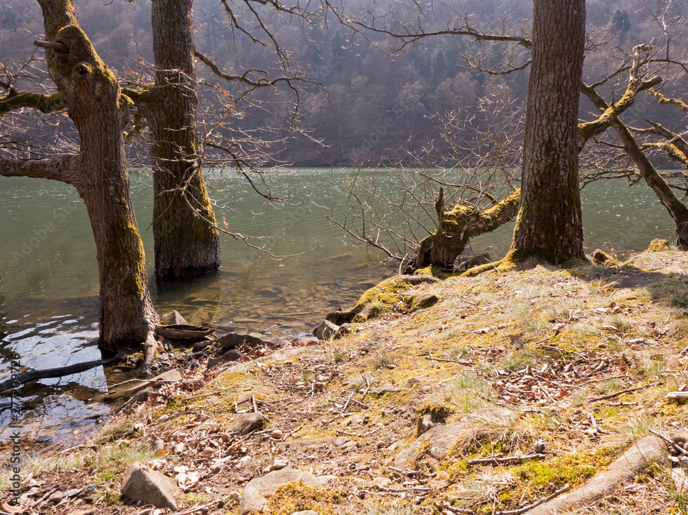 Pause am Ufer der Edertalsperre auf der Wanderung auf dem Urwaldsteig in der Nähe von Assel. Pause am Ufer der Edertalsperre auf der Wanderung auf dem Urwaldsteig in der Nähe von Assel.
