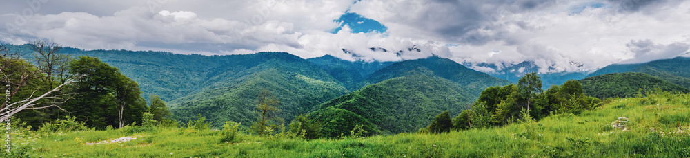 Mountain forest and clouds