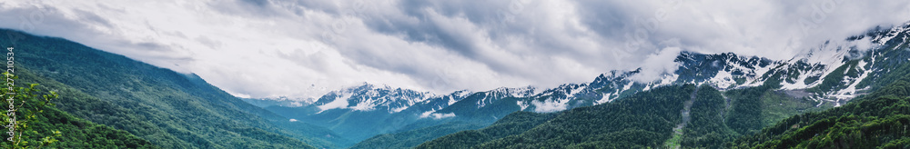 Mountain forest and clouds