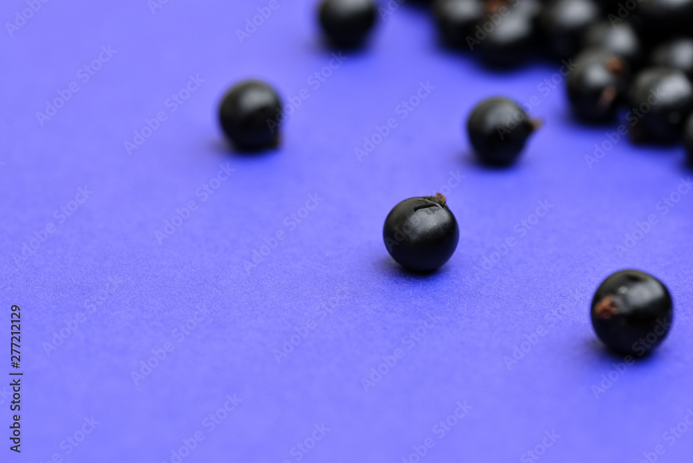 Black currant. Top view. Black currant. Top view.