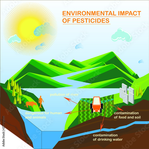 Environmental impact of pesticides fertilised insecticides scheme for education modern flat design stock vector illustration for web, for print