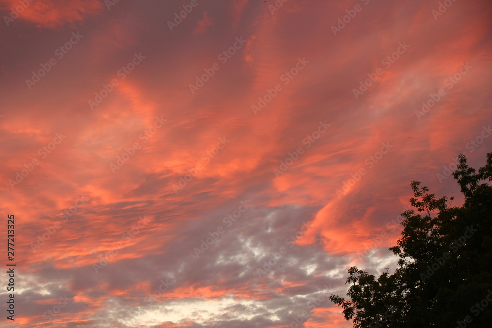 purple red alarming sunset sky with blood-orange fiery clouds and bright sunshine above the treetops