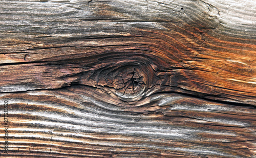 verwittertes Holzbrett - weathered wooden plank