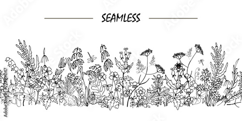 wild flowers and leaves in Doodle style, composition of  stylized wild plants, seamless vector illustration on white background