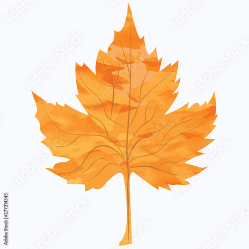 Abstract maple autumn orange-yellow leaf in grunge style - isolated on white background - vector. Ecological Concept.