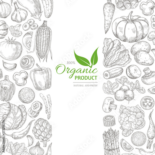 Organic sketch fresh vegetables vector retro background with hand drawn doodle greens on white