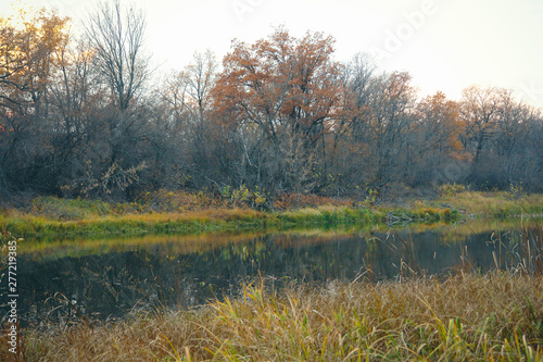 River or lake in early autumn in forest
