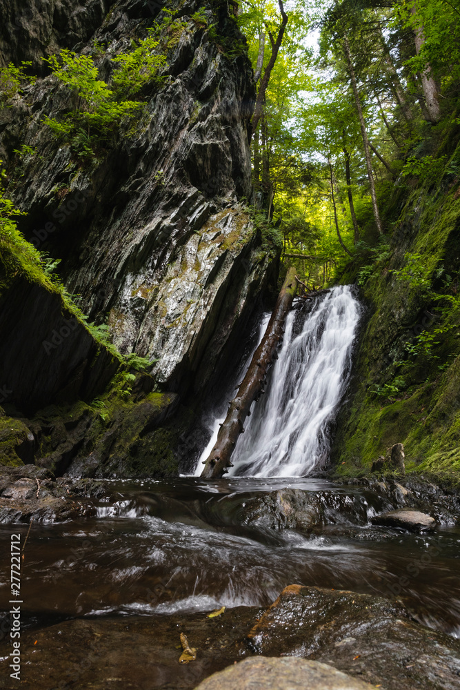 Tannery Falls