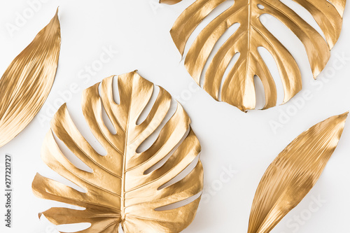 Flat lay of gold tropical palm leaves Monstera on white background. Top view ...