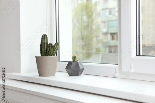 Cacti on window sill indoors. Plants for home photo