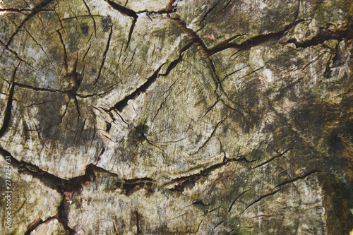  The photo shows the texture of an old 