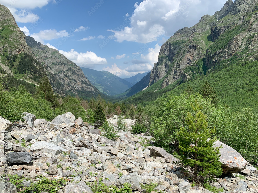 Russia, North Ossetia. Tsey gorge in sunny June day Russia, North Ossetia. Tsey gorge in sunny June day