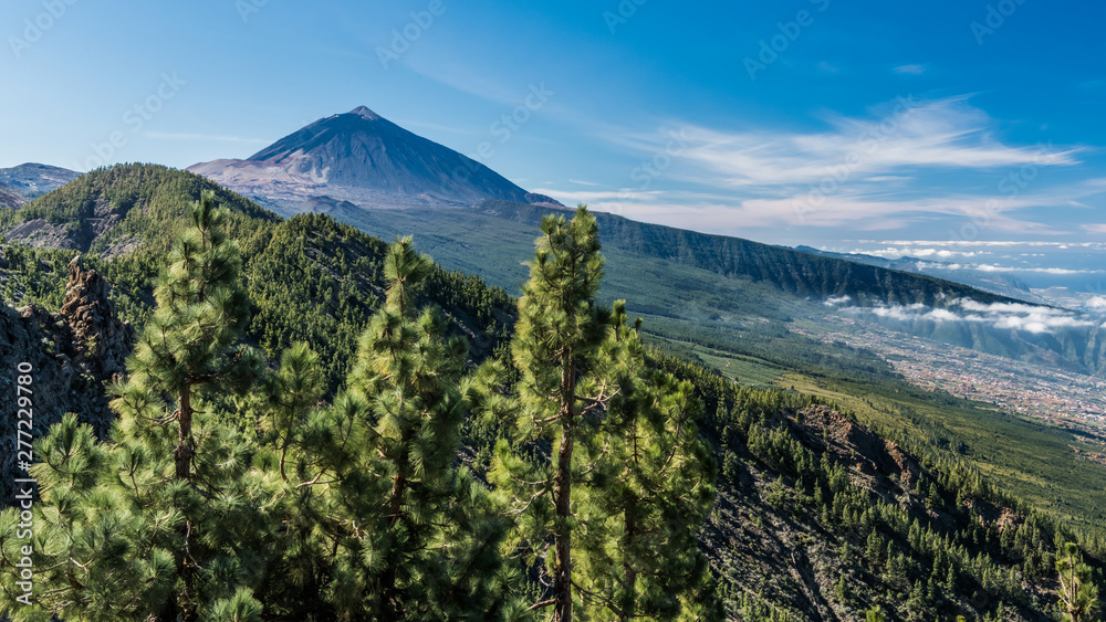 Obraz premium The top of Teide volcano, surrounded by pine trees