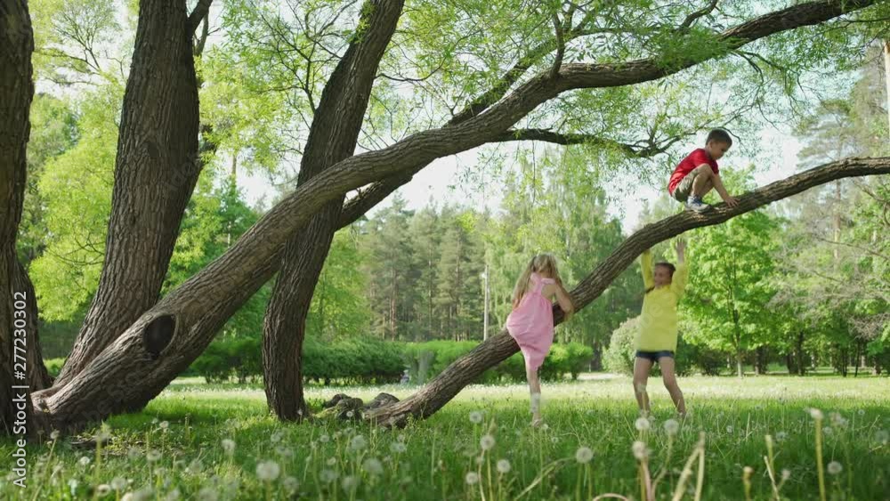 Group of thee active little siblings, two girls and boy, climbing a tree on summer day. Kids having fun in green park, from below tracking shot