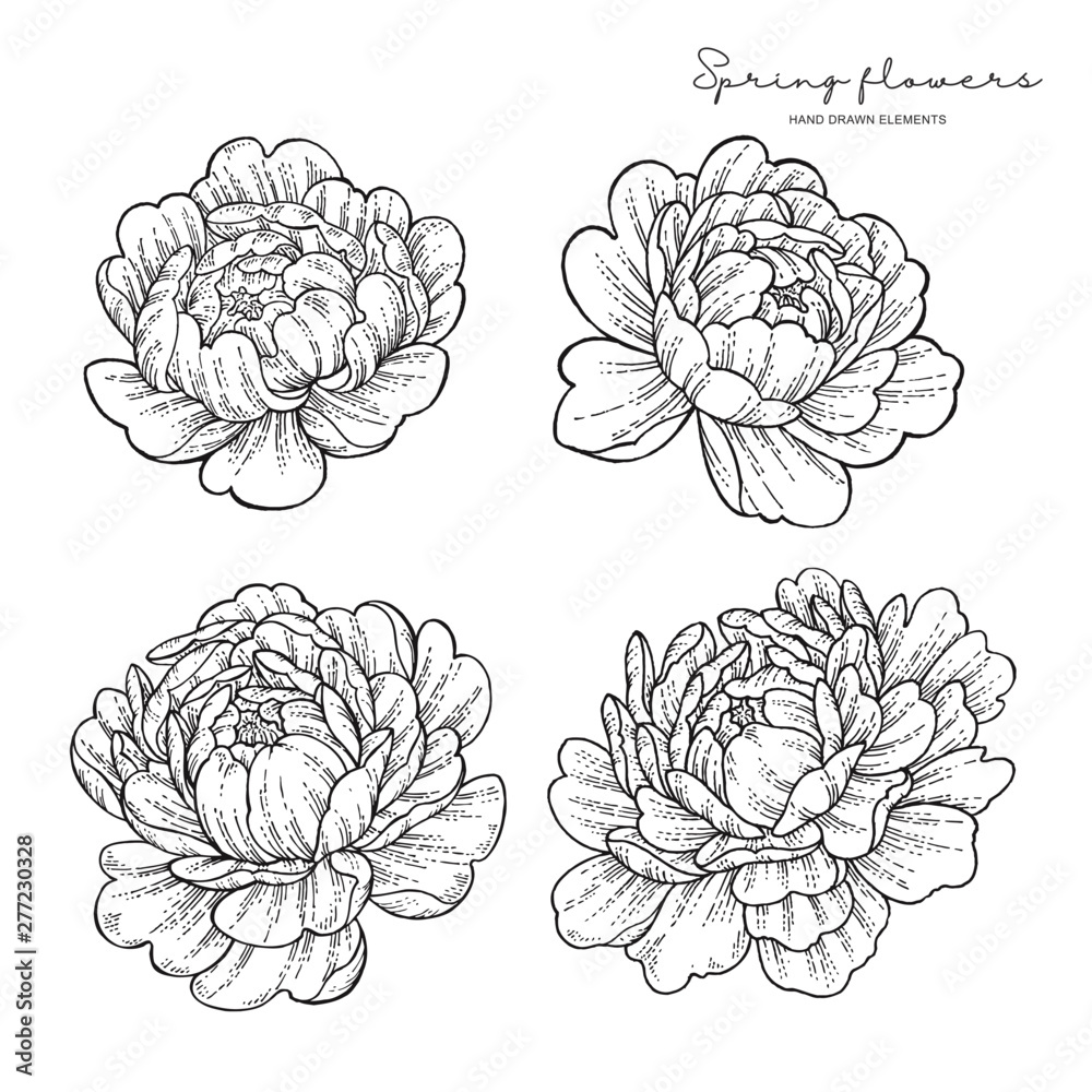 Barber DTS on Twitter Beautiful blue Peony by chrisstockings    neotraditional neotradeu peonytattoo neotrad neotradsub colortattoo  colourtattoo floraltattoo barberdtssupplies barberdts  barberdtstattoosupplies httpstco5brzquMqw4 