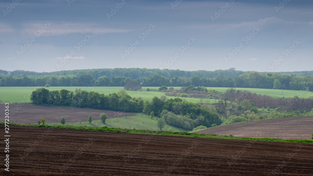 Black fertile soil on a sprinkled spring field. Landscape