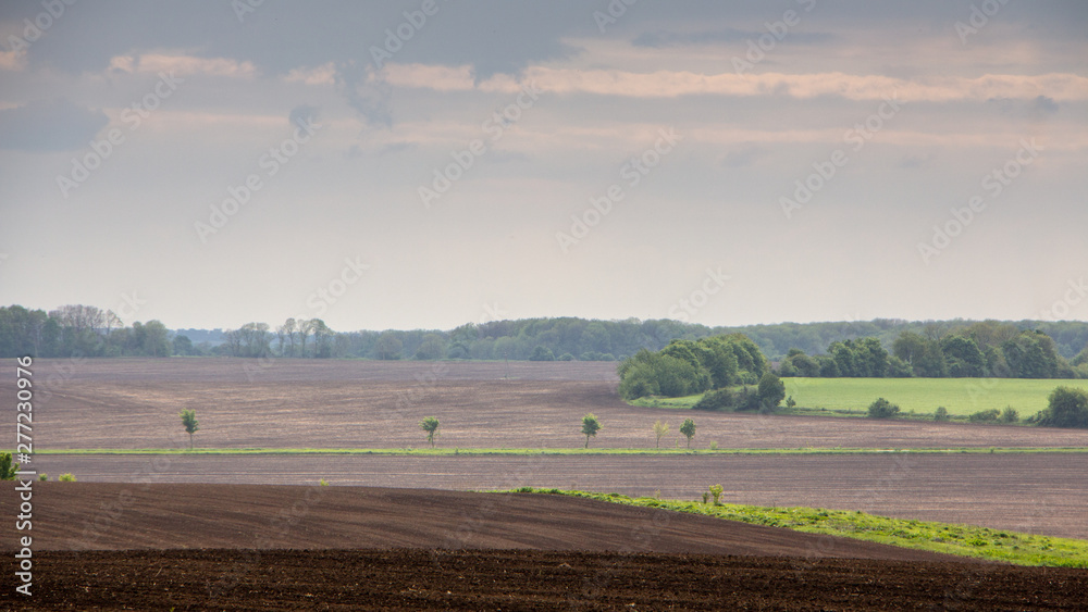 Fototapeta premium Black fertile soil on a sprinkled spring field. Landscape