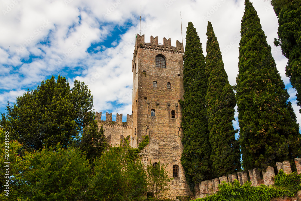 The town of Conegliano