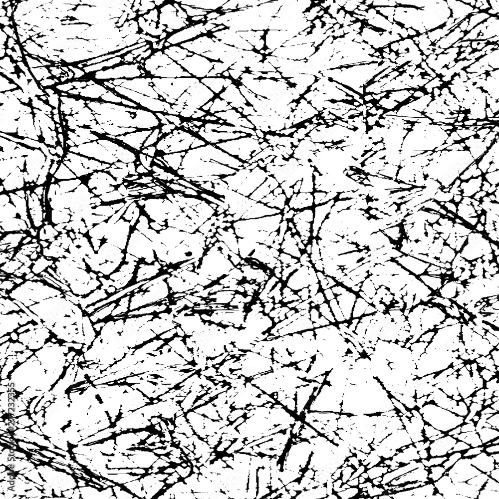 Obraz premium Abstract background. Monochrome texture. Image includes a effect the black and white tones