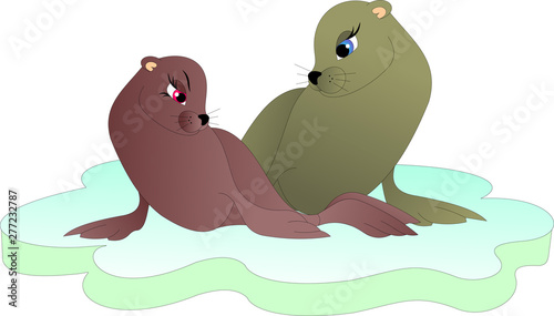 a pair of fur seals on an ice floe