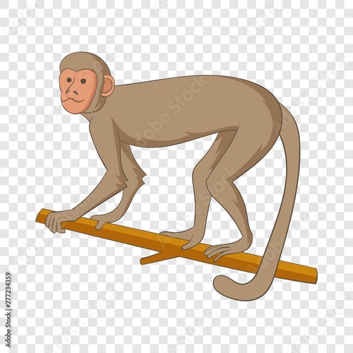 Macaque icon. Cartoon illustration of macaque vector icon for web © ylivdesign