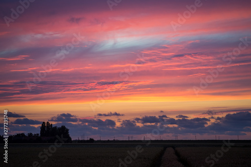 Detailed view of a purple sky over the dutch countryside after sunset