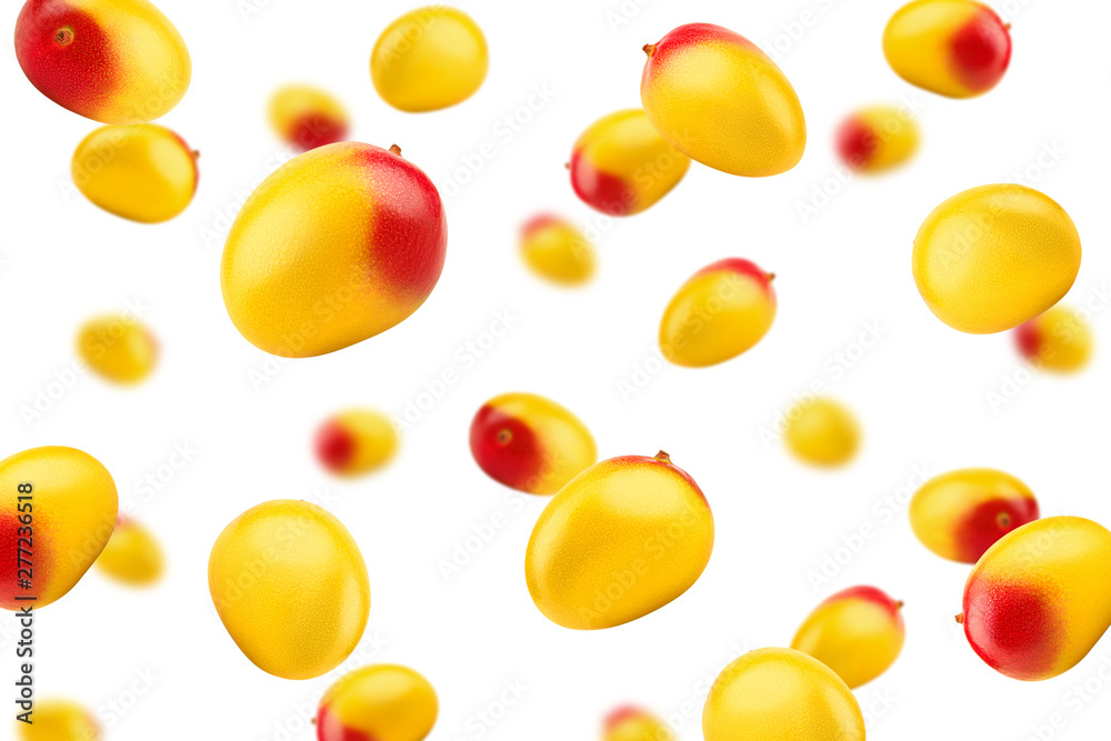 Falling mango isolated on white background, selective focus Falling mango isolated on white background, selective focus