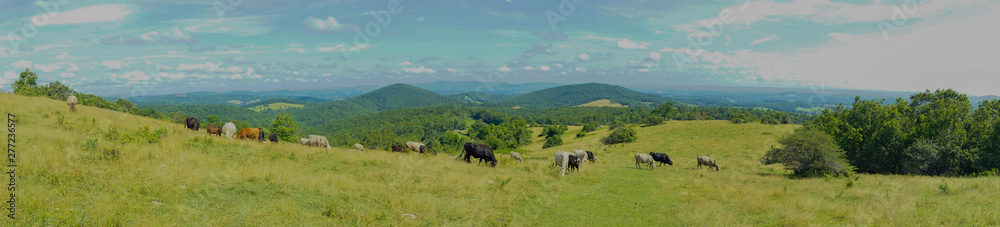 Obraz premium landscape with mountains and clouds