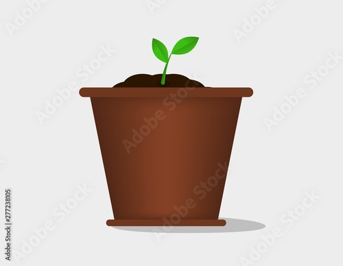 Seeding pot plant vector.