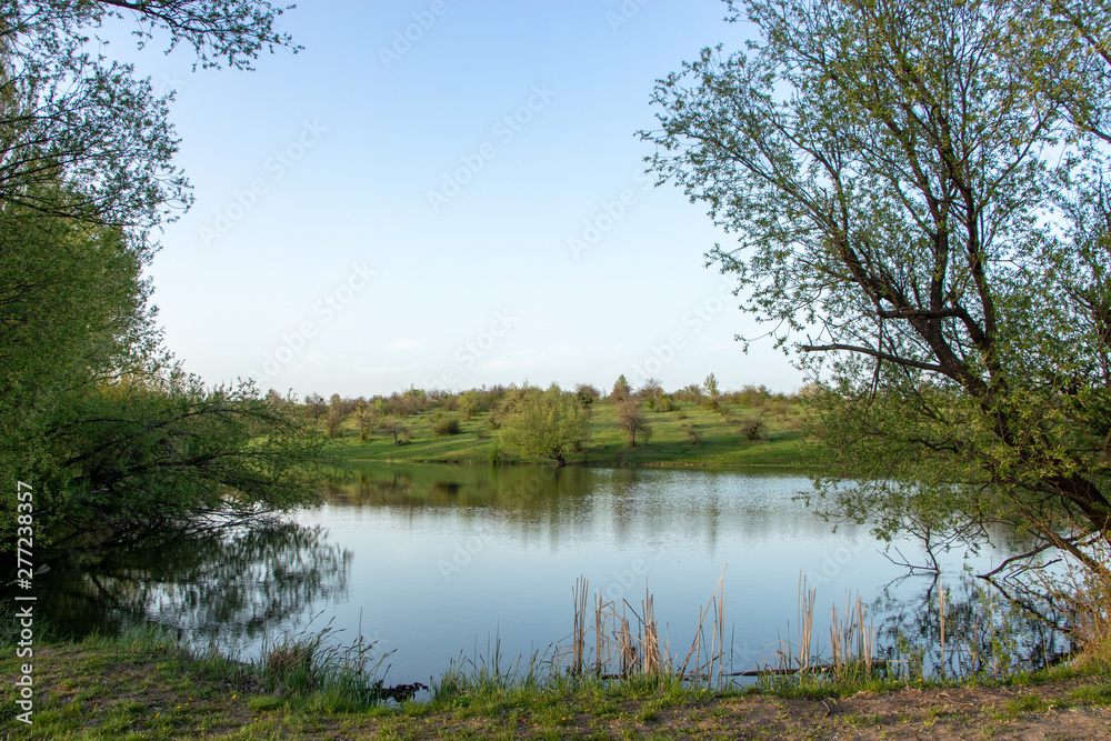 a small pond in a village with green shores and trees, and clean water. Ecologically clean zone.