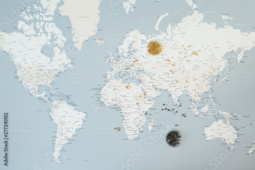 World map with pins. Flat lay travel planning composition.