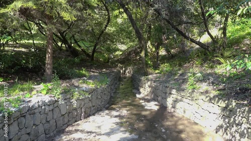 Green summer park with a stream photo