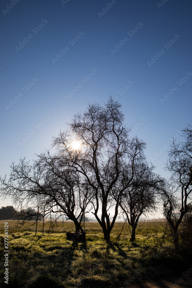 Beautiful sunny morning over field in winter with water well under tree without leaves