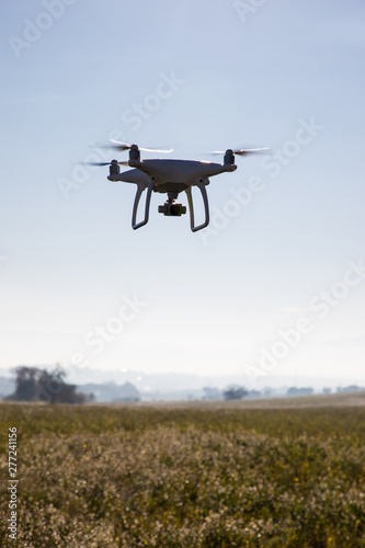 Recording drone on the sky over white flowers field