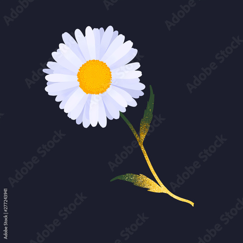 Gold Stem Daisy