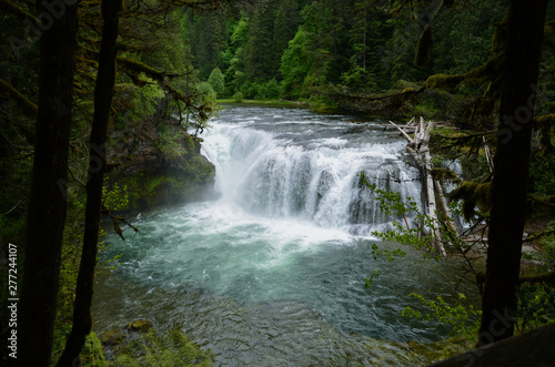 Lewis River Falls Landscape