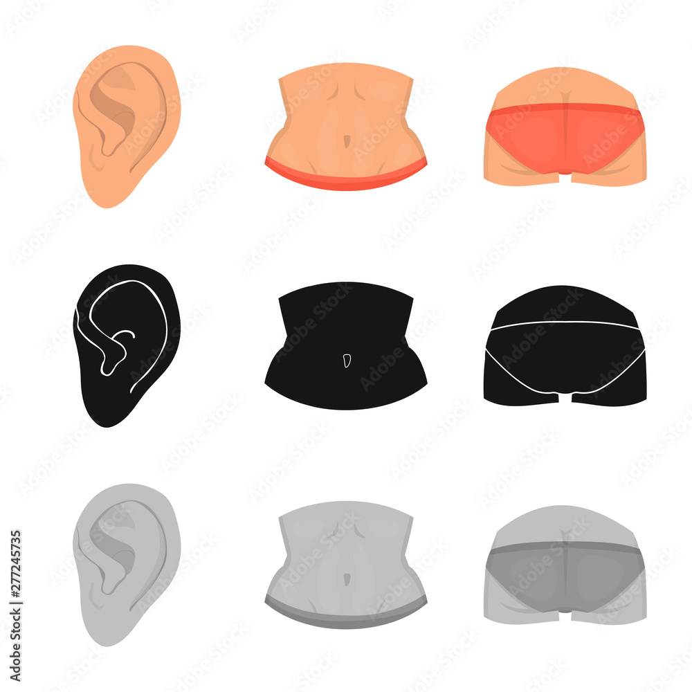 Vector design of body and part icon. Collection of body and anatomy vector icon for stock. Vector design of body and part icon. Collection of body and anatomy vector icon for stock.