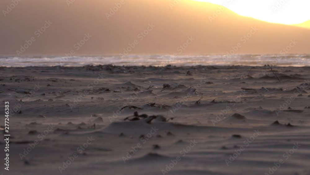 Sand blowing across beach with ocean in background in Kapiti, New Zealand Sand blowing across beach with ocean in background in Kapiti, New Zealand