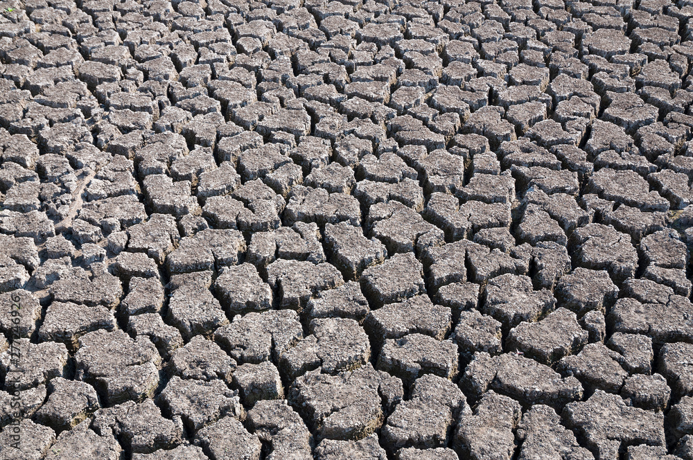 Dry soil and lack of water Dry soil and lack of water