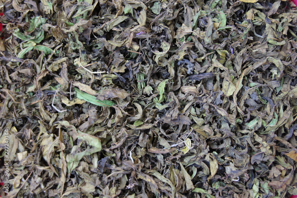 Dry liaves of willow-herb texture Dry liaves of willow-herb texture