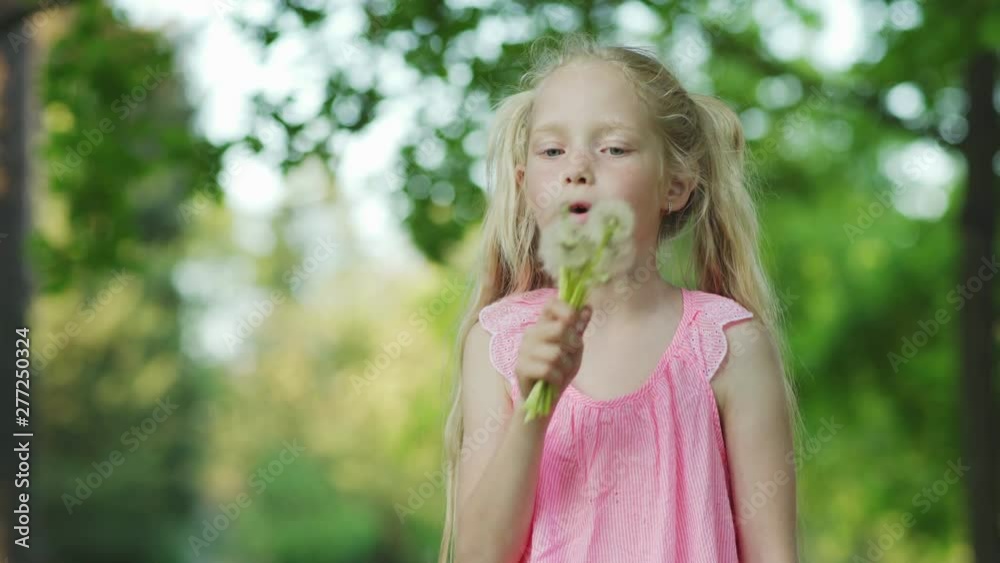 Cute little girl with two ponytails blowing on bunch of fluffy dandelions and making wish in park on summer day, copy space to left Cute little girl with two ponytails blowing on bunch of fluffy dandelions and making wish in park on summer day, copy space to left