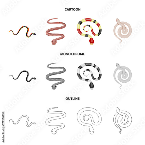 Vector illustration of mammal and danger icon. Collection of mammal and medicine stock symbol for web.
