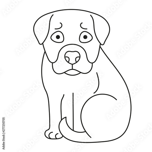 Dog. Coloring Book Design For Kids And Children. Vector Illustration Isolated