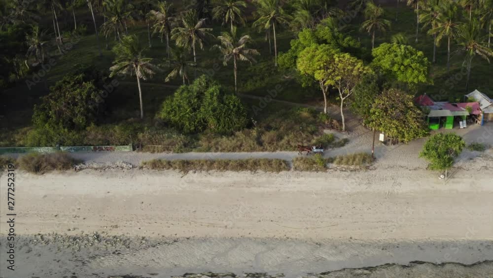 Aerial view of horse drown vehicle driving along the road between sandy beach and tropical jungle. Gili Air island, Indonesia Aerial view of horse drown vehicle driving along the road between sandy beach and tropical jungle. Gili Air island, Indonesia