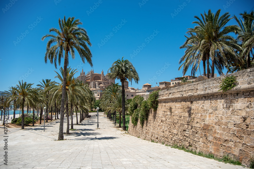 Majorca 2019: Panoramic view of Cathedral La Seu of Palma de Mallorca on a sunny summer day with blue sky. Image composition with lots of palm trees and old mural in the foreground