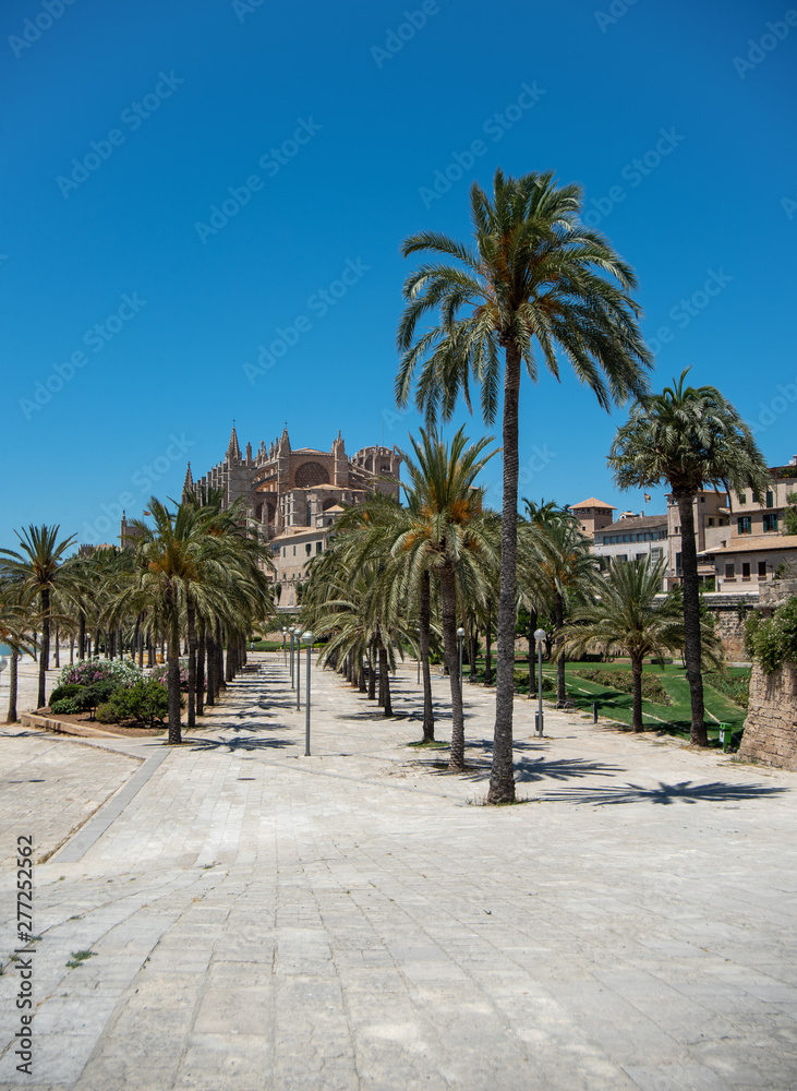 Majorca 2019: Cathedral La Seu of Palma de Mallorca on a sunny summer day with blue sky. Image composition with lots of palm trees in the foreground