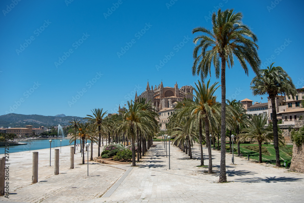 Majorca 2019: Panoramic view of Cathedral La Seu of Palma de Mallorca on a sunny summer day with blue sky. Image composition with lots of palm trees in the foreground Majorca 2019: Panoramic view of Cathedral La Seu of Palma de Mallorca on a sunny summer day with blue sky. Image composition with lots of palm trees in the foreground