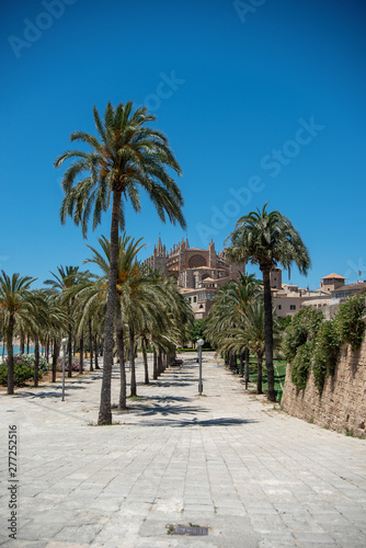 Majorca 2019: Panoramic view of Cathedral La Seu of Palma de Mallorca on a sunny summer day with blue sky. Image composition with lots of palm trees and old city wall in the foreground
